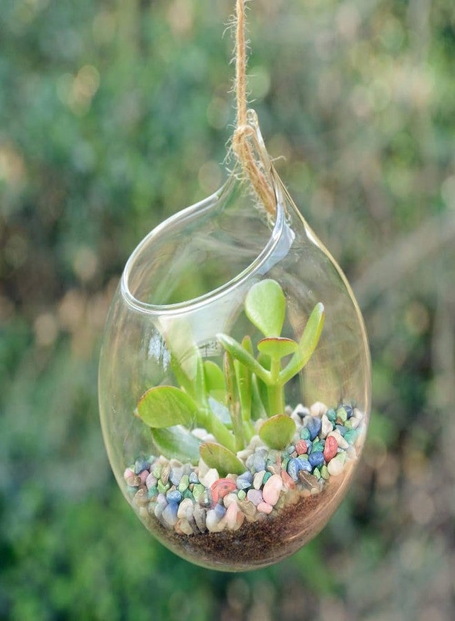 HappyFiller Colored Pea Gravel, Indoor Plants Succulent Cactus Topper Dressing Pebbles Fairy Garden Terrarium,Polished Mini Stones 3-5mm for Aquarium Fish Tank,Vase Filler,Resin Arts Crafts,0.88 LB - Image 3